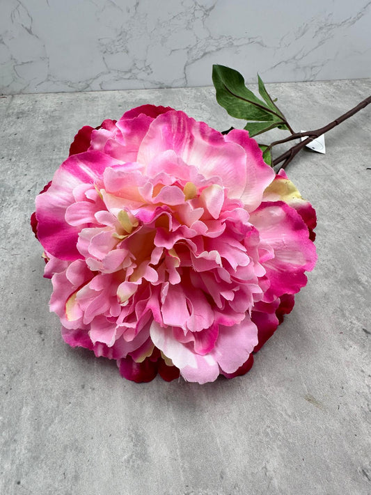 Vara Peonía Abierta Fucsia