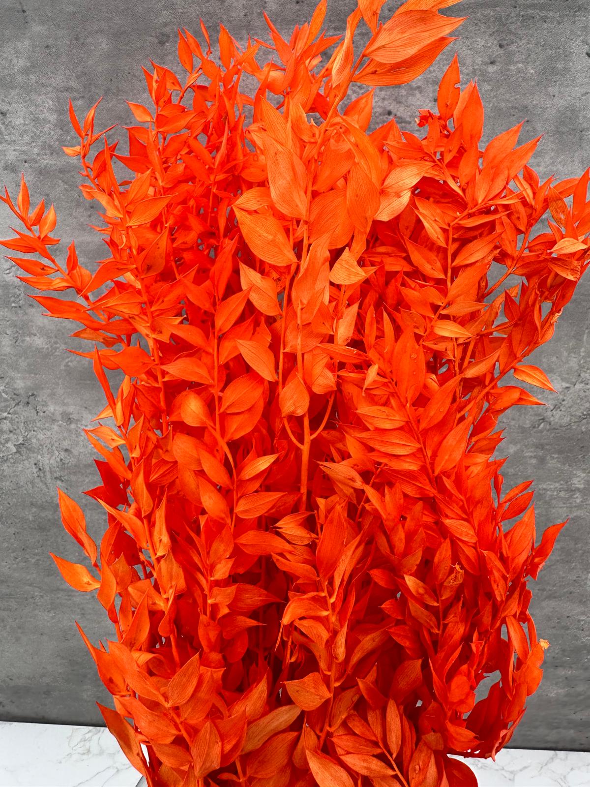 Ruscus Press Naranja