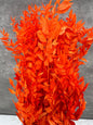 Ruscus Press Naranja