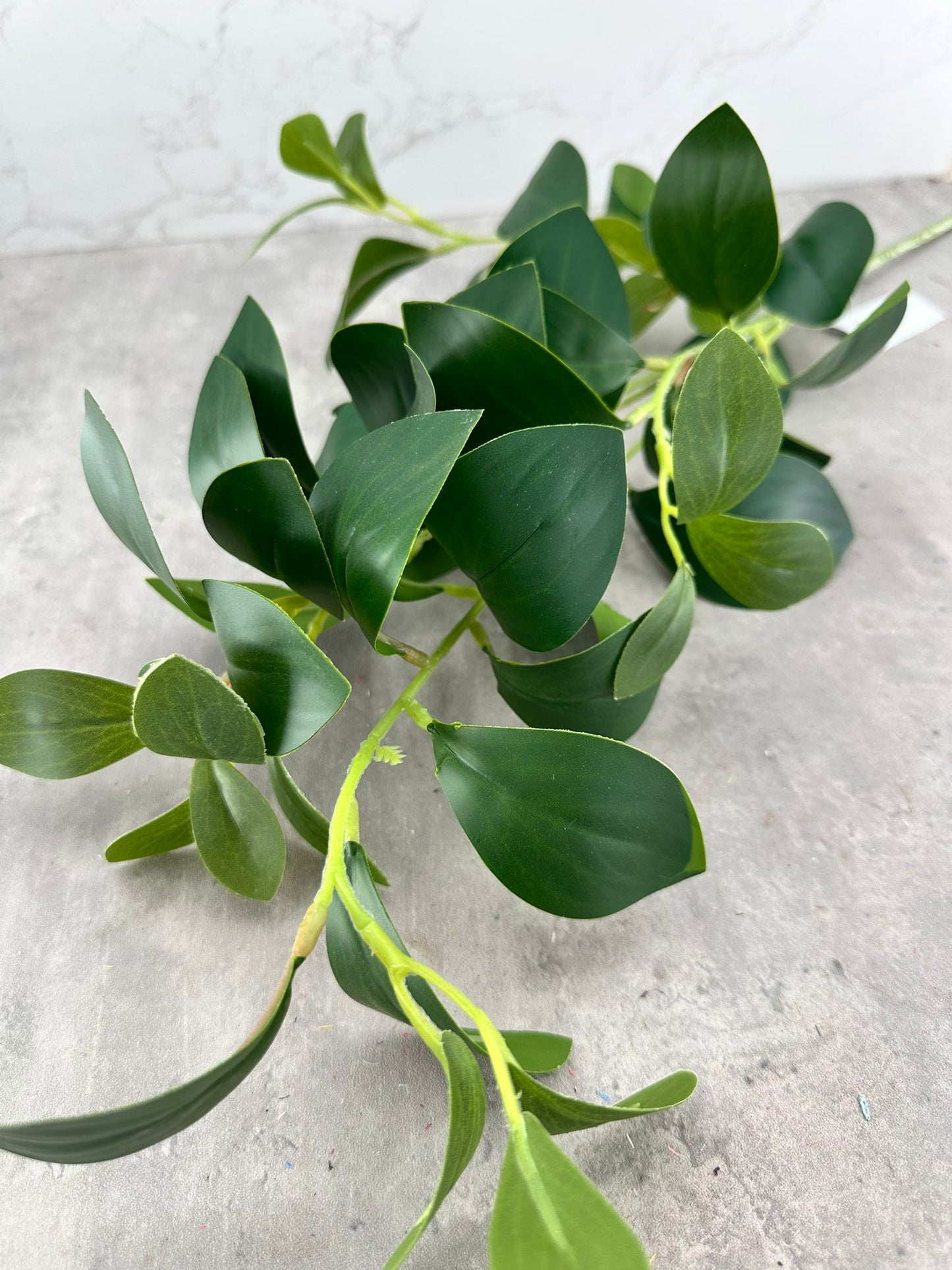Vara Magnolio Verde