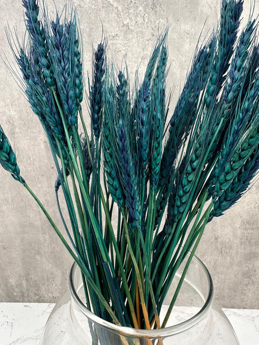 Trigo Raspa Azul