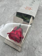 Rosas Press Verdissimo Roja