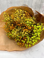 Mazo Paniculata Press Mix Ácido