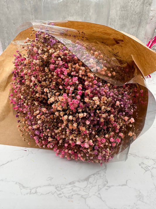Mazo Paniculata Press Mix Rosa