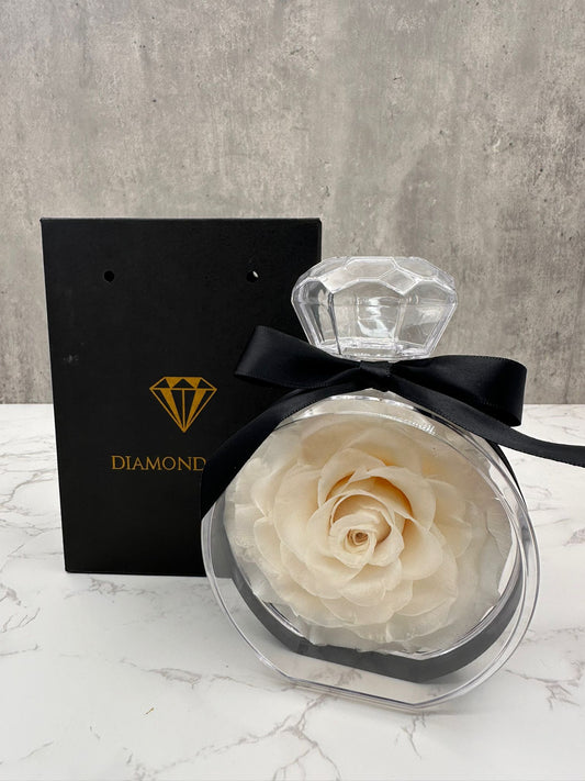 Diamond Rose Blanca