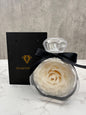 Diamond Rose Blanca