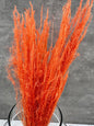 Agrostis Naranja