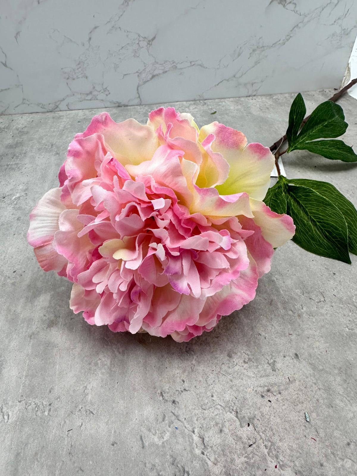 Vara Peonía Abierta Rosa