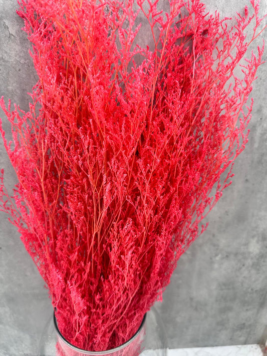 Caspia Fucsia Press