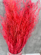 Caspia Fucsia Press
