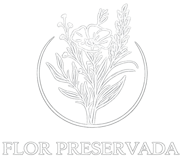 Flor Preservada