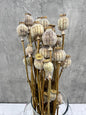 Papaver Press Blanco