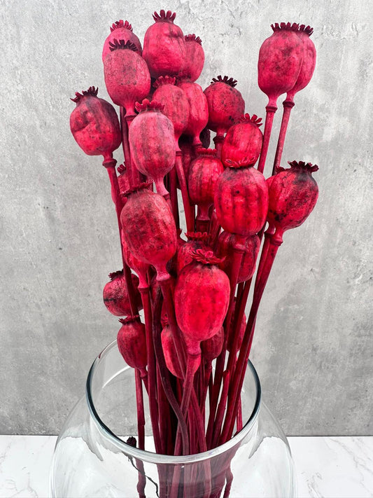 Papaver Press Rojo
