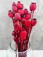 Papaver Press Rojo