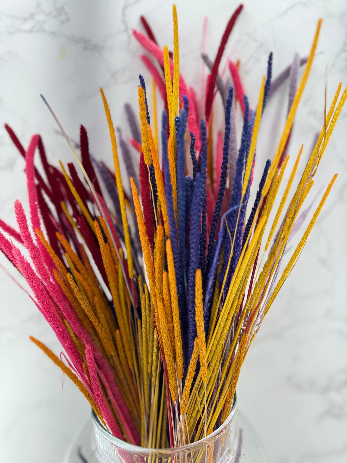 Phleum Press Arlequín