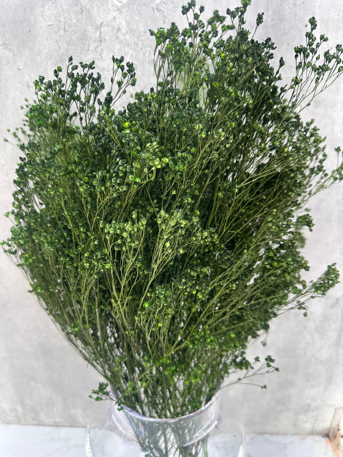 Brooms Blooms Verde