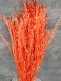 Oriza Press Naranja