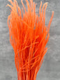 Ouro Press Naranja