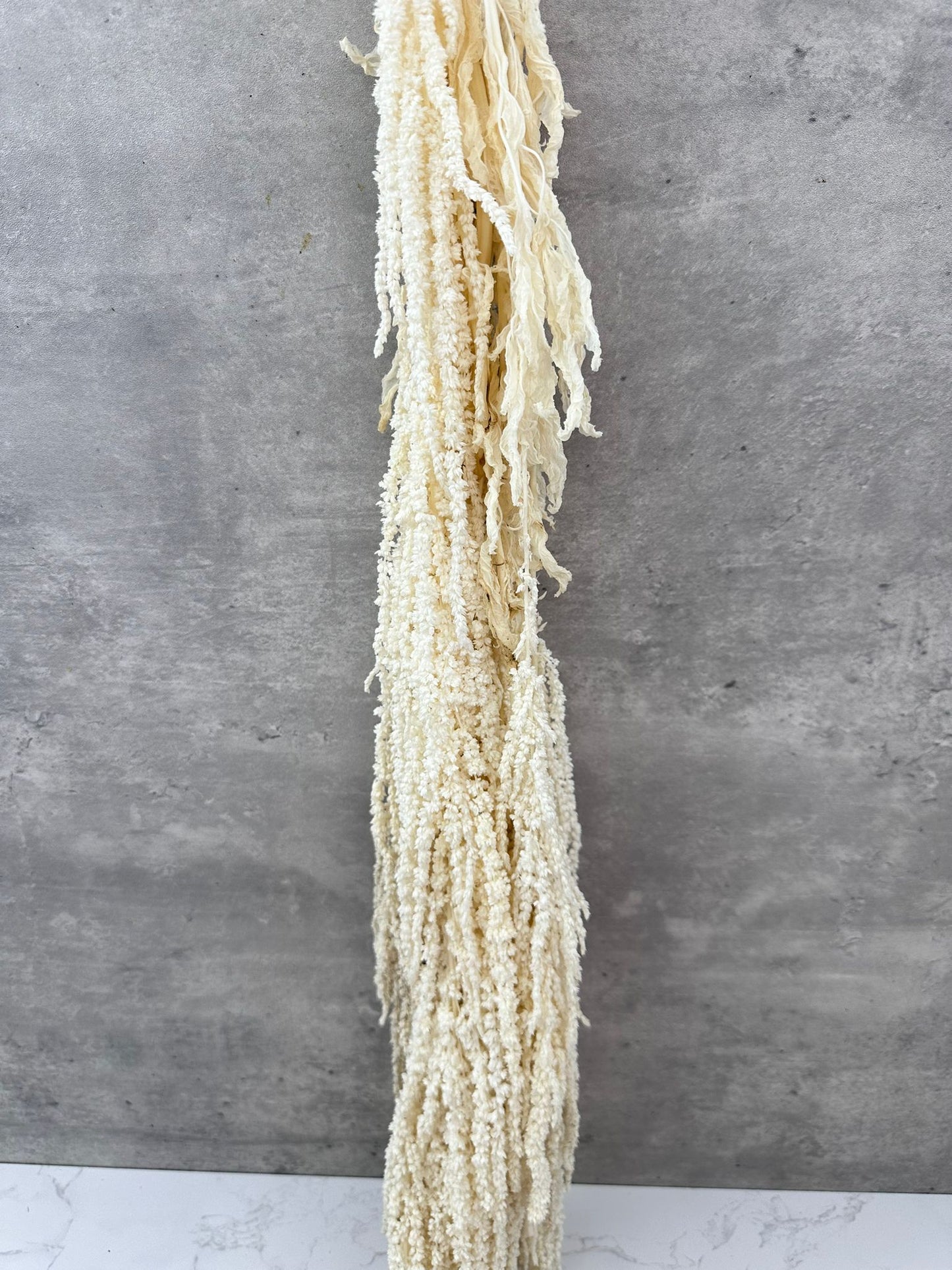 Amaranthus Caudatus Press Blanco
