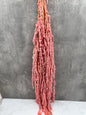 Amaranthus Caudatus Press Rosa