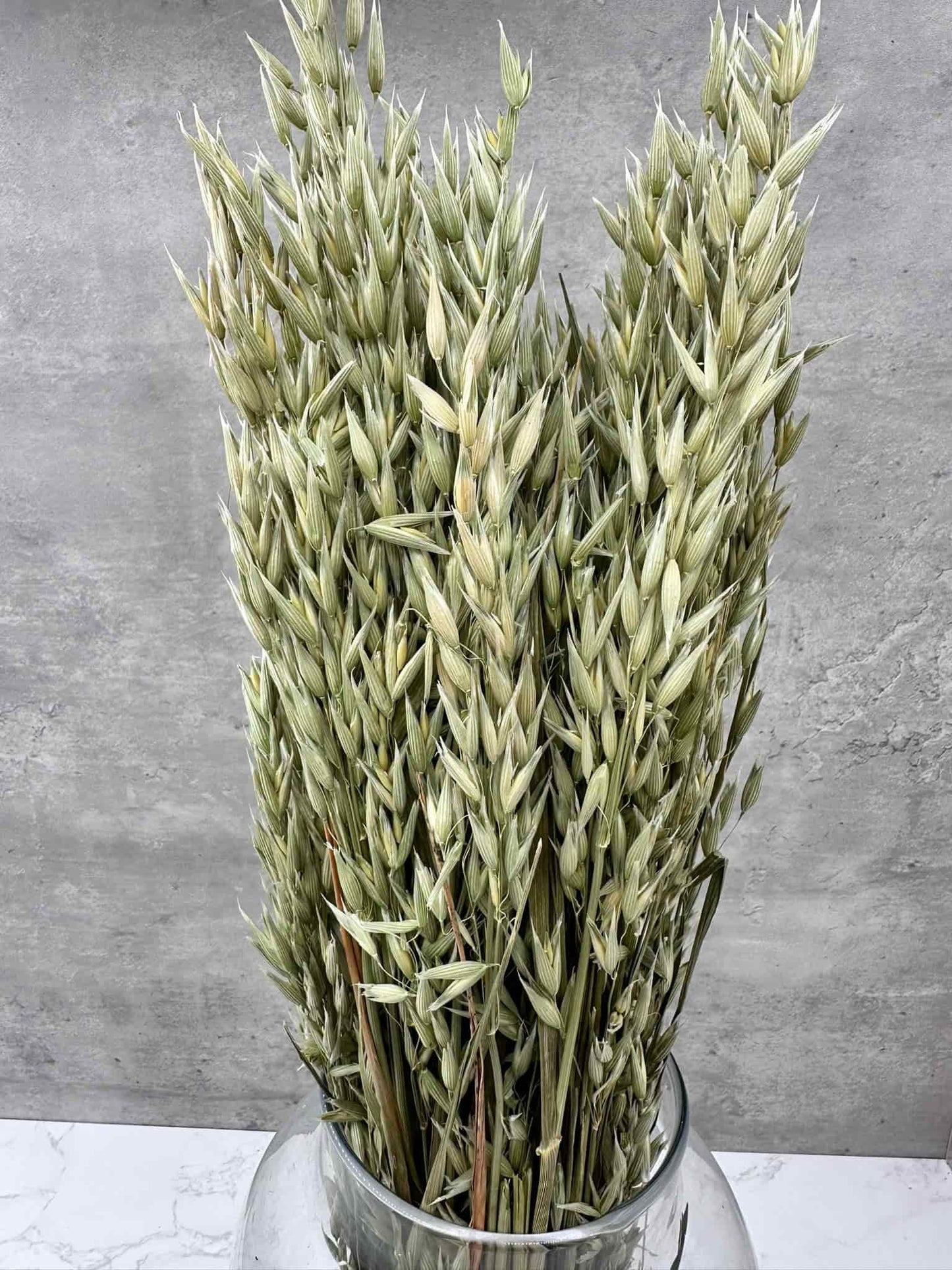 Avena Seca Natural