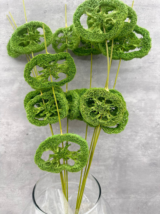 Lufa Verde