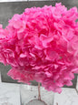 Hydrangea Cabeza Press Rosa Oscura