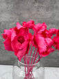 Palm Cup Rosa Fuerte