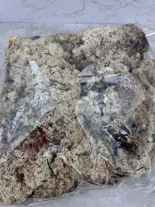 Musgo Finlandés Press Blanco Bolsa 500gr