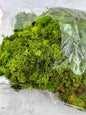 Musgo Finlandés Press Verde Bolsa 1Kg