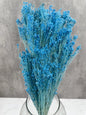 Brooms Blooms Azul