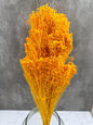 Brooms Blooms Naranja