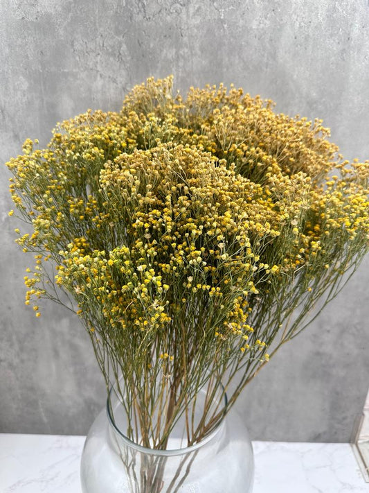 Brooms Blooms Natural