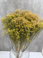 Brooms Blooms Natural