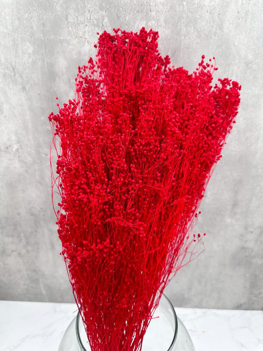 Brooms Blooms Rojo