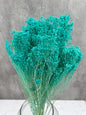 Brooms Blooms Turquesa