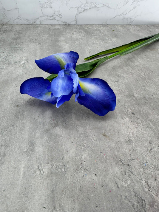 Vara de Iris Azul