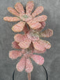 Margarita Sisal Rosa