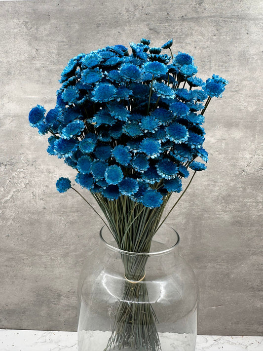 Margaret Azul Oscuro