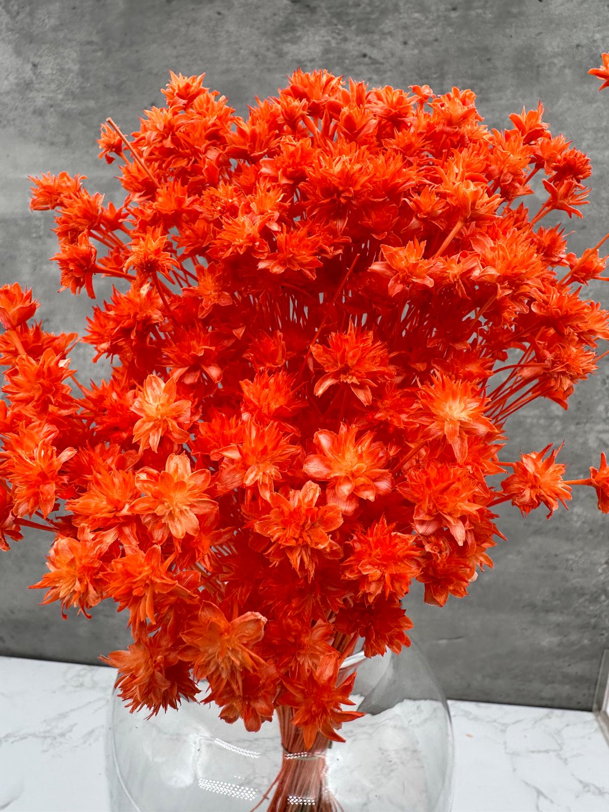 Hill Flower Naranja