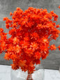 Hill Flower Naranja