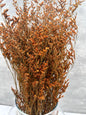 Caspia Naranja Press
