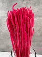 Phleum Press Fucsia