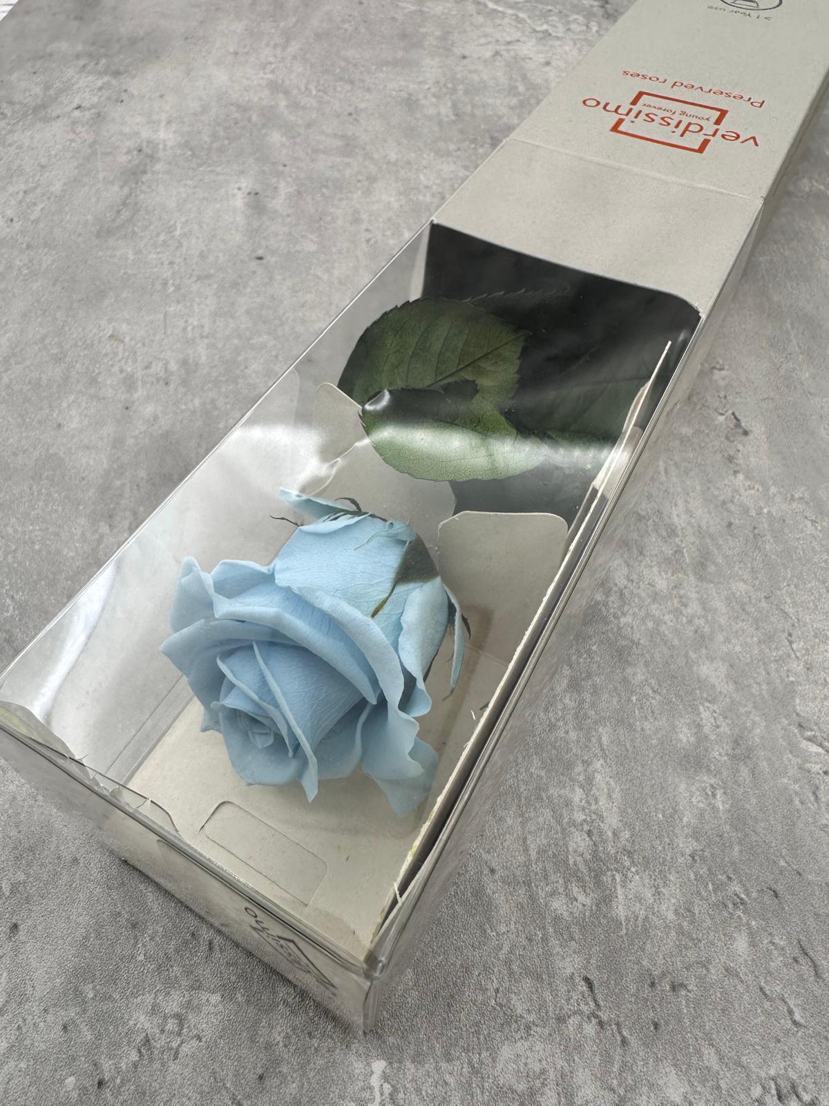 Rosas Press Verdissimo Celeste