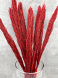 Cañizo Rojo