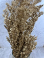 Eucalipto Miroclaudio Press Oro