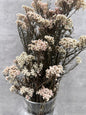 Rice Flower Press Blanco y Rosa