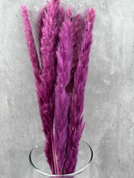 Mini Pluma Morada