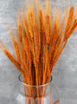 Trigo Naranja