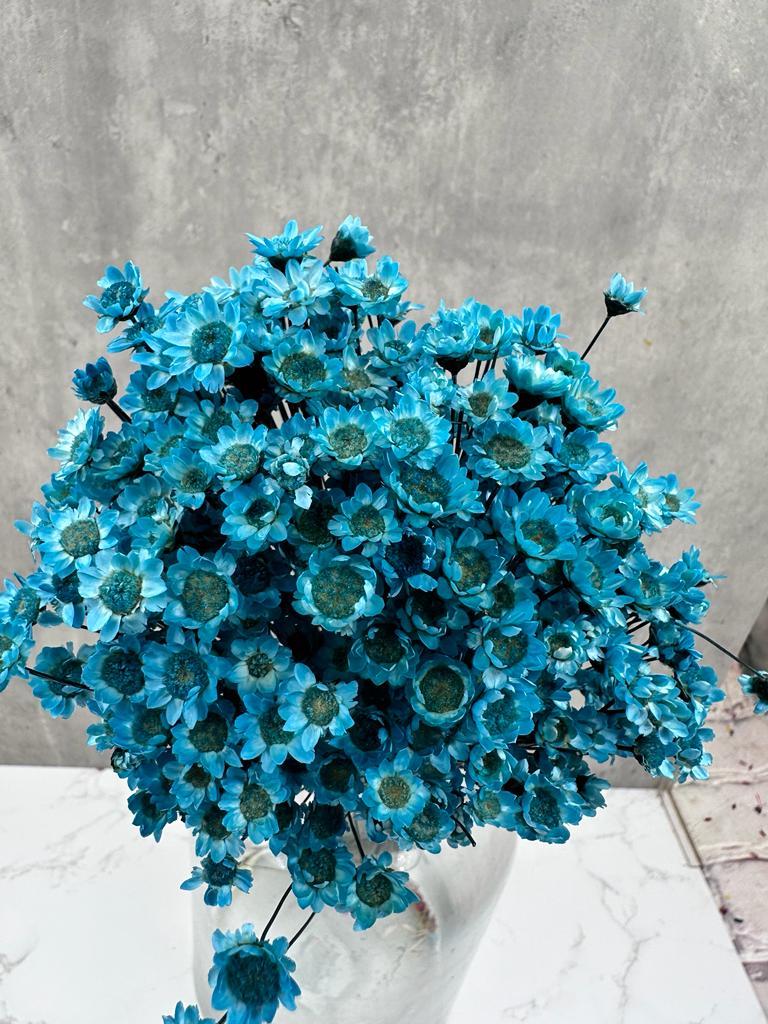 Glixia Azul